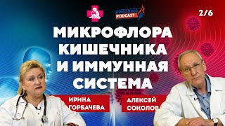 Микрофлора кишечника и иммунная система #2