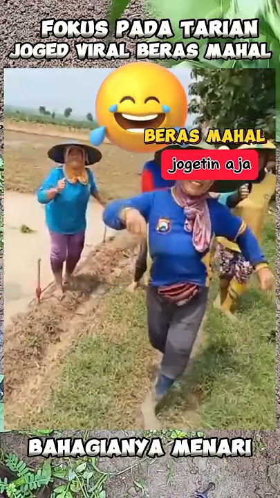 Beras MAHAL Jogetin AJA joged beras mahal #lucu #ngakak #music #berasmahal #berasnaik #jogetinaja