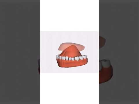 مخارج الحروف مخرج حرف الكاف ثلاثي الأبعاد الشيخ ايمن سويد