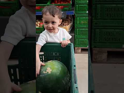 يامو جبتلك بطيخة بطيخ احمر حبحب جبس بلدى سيلين وجود اكسبلور