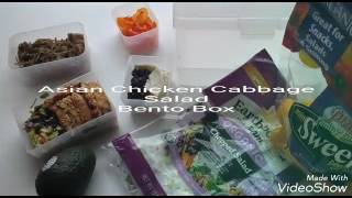 Asian Chicken Cabbage Salad + Bento Box - Opera Singer in the Kitchen