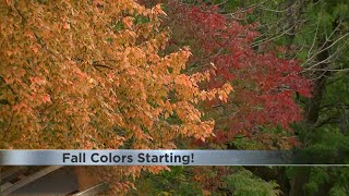 Details Fall colors starting to show in Madison Update