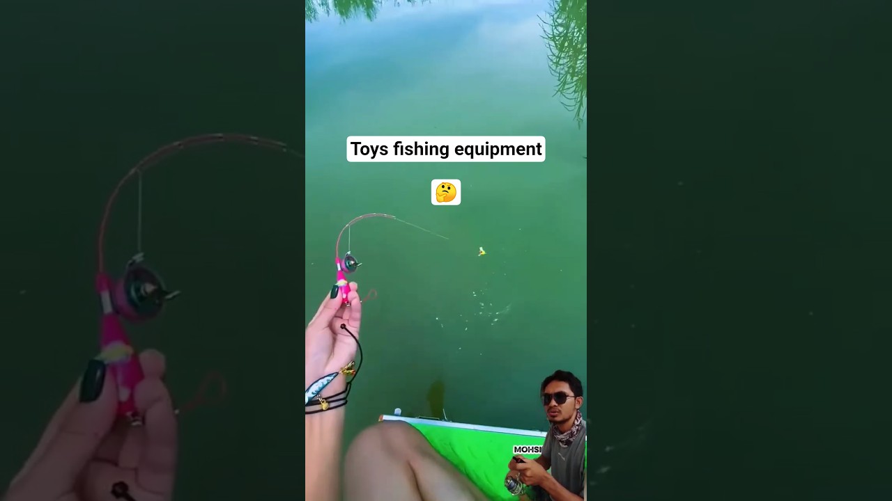 Toy fishing rod catch a tilapia fish
