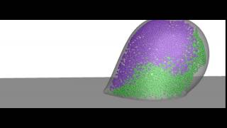 Multiple droplet interactions