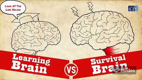 Understanding Trauma: Learning Brain vs Survival Brain - فهم الصدمة : تعلم الدماغ ودماغ البقاء.