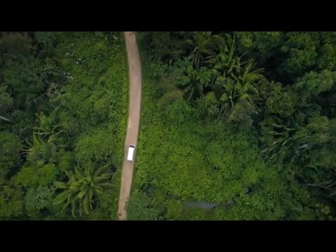 Belize: Cockscomb Basin Wildlife Sanctuary and Jaguar Preserve with Hamanasi Resort