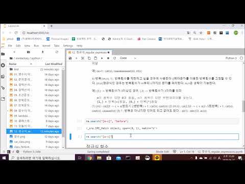 12  정규식의 이해