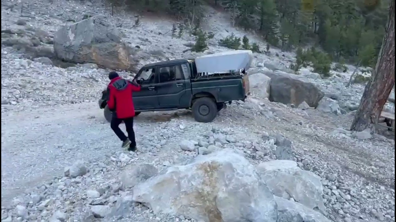 HACER ormanları safari