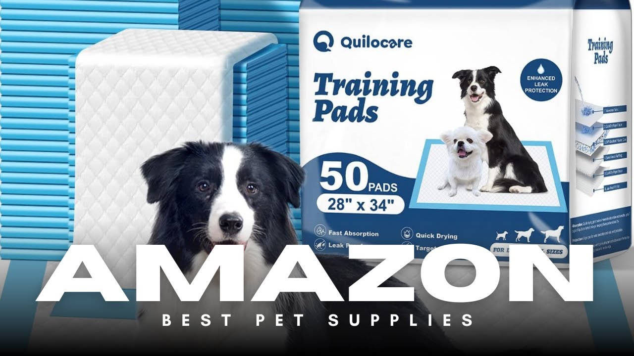🐶 Extra Large Puppy Training Pads! Leakproof & Super Absorbent for Easy Housebreaking (50 Pack)