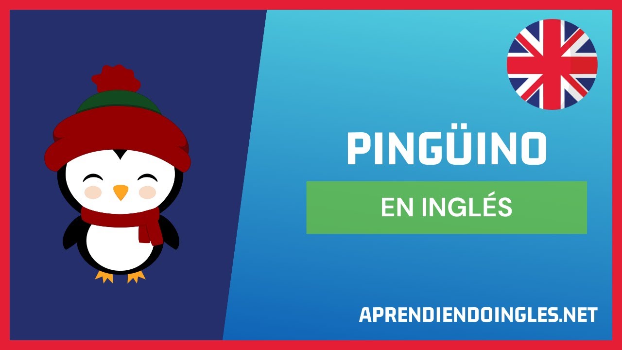 Come Si Scrive Pinguino In Inglese