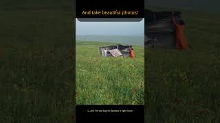 Making photo of poppy fields
