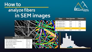 How to analyze fibers with Mountains®