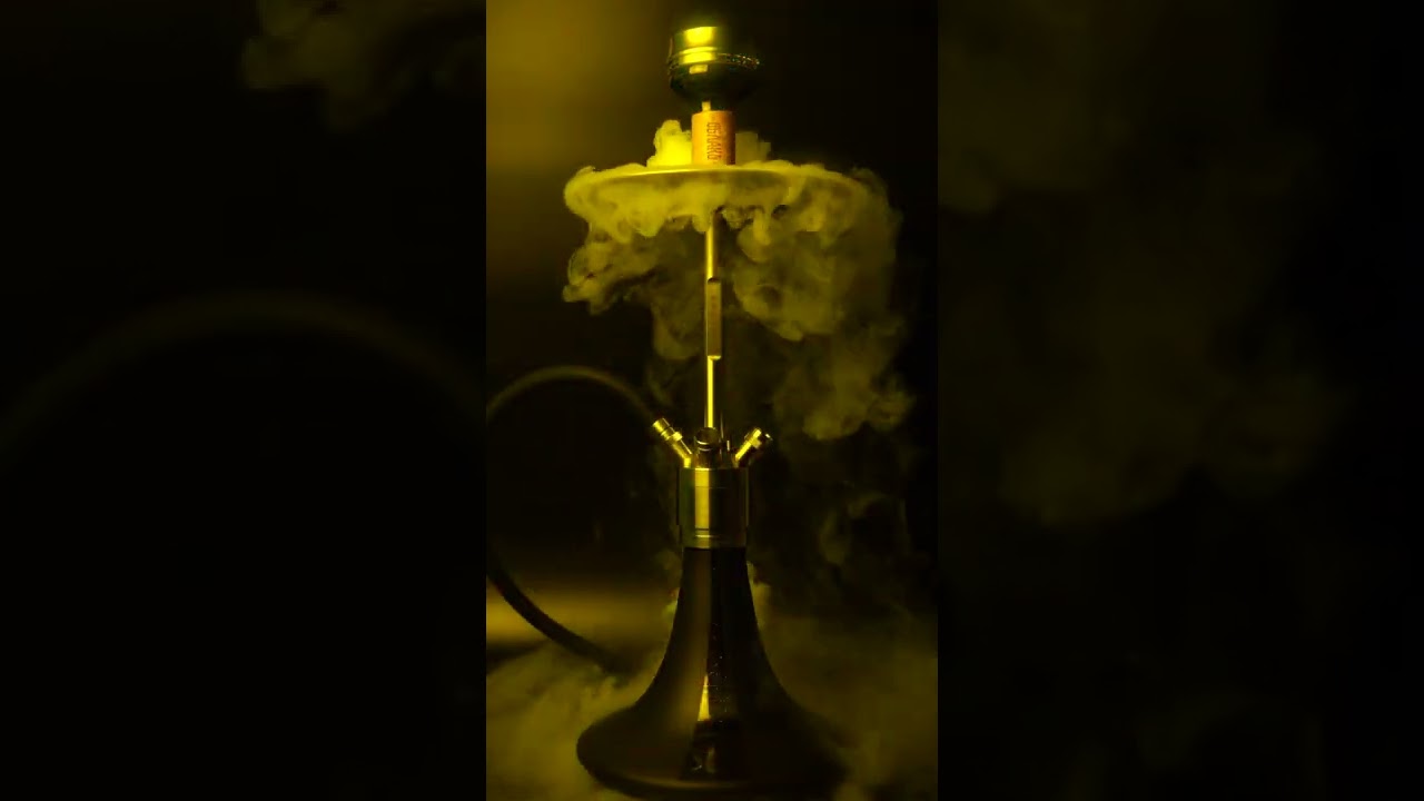 Steamulation Pro X II Product View