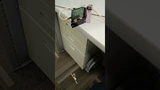 Vector Scanning projection