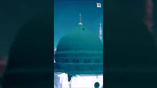 Tery naam tu waran jaan Ya Rasool Allah | Hafiz Tahir Qadri