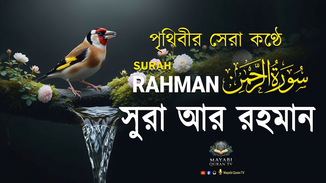 সূরা আর রহমান (الرحمن) - মন জুড়ানো হৃদয় ছুঁয়ে যাওয়া স্বস্তিদায়ক সূরা আর-রহমান তেলাওয়াত