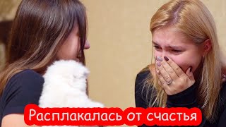 Шуйский: царство профессионального предателя - 17 