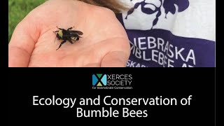 Ecology and Conservation of Bumble Bees