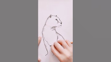 Leopard 🐆 drawing || pencil draw leopard sketch||#shorts
