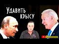 Зaпад сдaвливает гopло Пyтинy, Михаил Тевосян, беседа с Василием Миколенко на SobiNews. #44