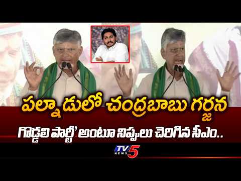 చంద్రబాబు గర్జన..Cm Chandrababu Powerful Speech In Palnadu | TV5 News - TV5NEWS