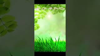 Girls Like Me Dont Cry S Thuy girlslikemedontcry s thuy