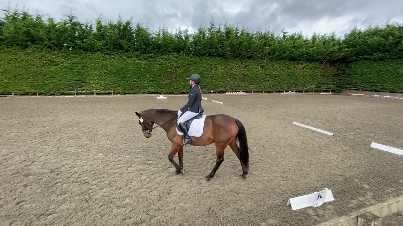 Intro B Dressage Test Championship 3rd Place 70.2 YouTube