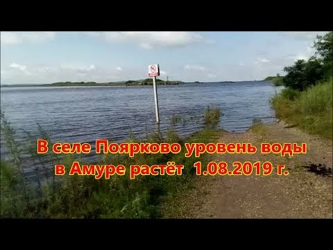 Погода на неделю поярково амурская. Село Поярково Амурской области. Река Амур Поярково. Уровень воды в Амуре Поярково на 24.05 2022. Хабаровск Поярково.