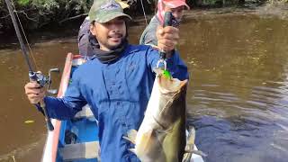 Tapah fishing (Wallago Leeri) Kapuas River