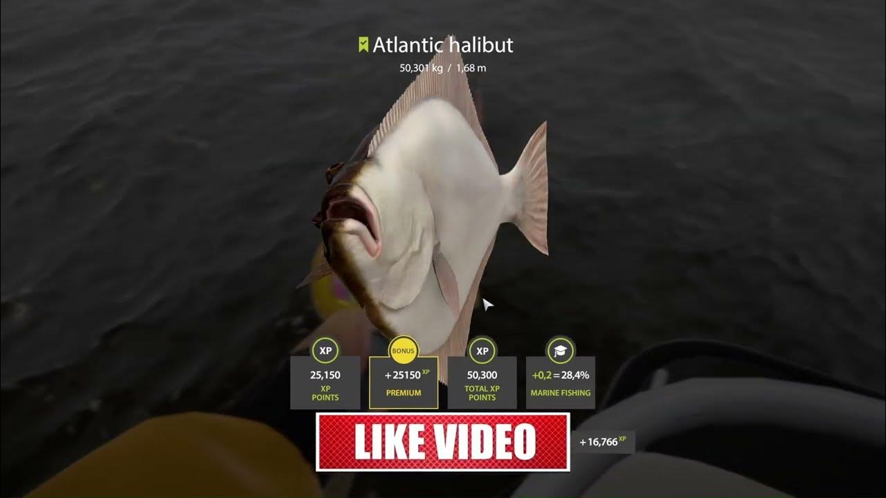 Norwegian Sea Atlantic halibut Russian Fishing 4 rf4 spot 1 YouTube