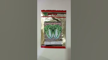 Hạt giống cải bẹ dún Thái Lan - Gói 10 gram ( 0869001010)