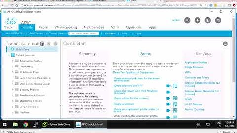 UCS Director API Demo