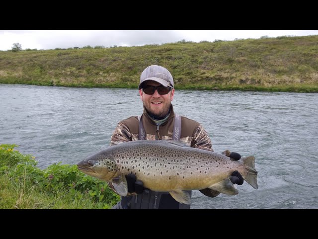 Fly Fishing for BIG Brown Trout in Iceland part 3/3 Icelandic Elements  Private Tours 