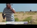 نحلة تلسع مراسل الجزيرة مباشر على الهواء