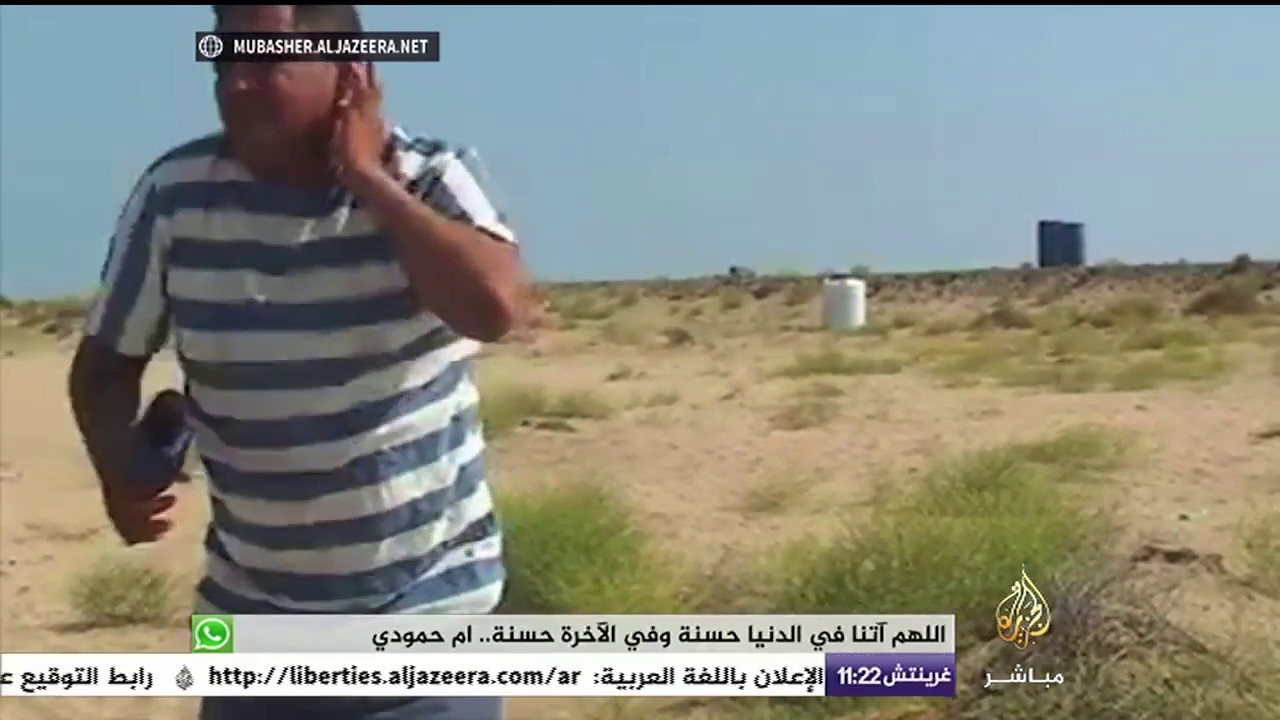 نحلة تلسع مراسل الجزيرة مباشر على الهواء
