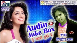 NEW CG SONG A KARI TURI RE DILIP RAY HIT CHHATTISGARHI GEET HD VIDEO 2016 AVM STUDIO RAIPUR