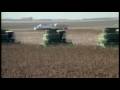 Sunflower Harvest in North Dakota - America's Heartland