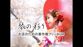 雅を感じる華やかな琴ソロ演奏【商用利用可・空間演出BGM】琴の彩り (4113) WHITE BGM