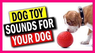 Dog Toy Sounds! by Nature Walk 263 views 2 years ago 1 minute, 18 seconds