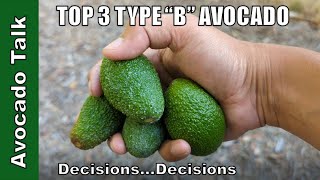 My Top 3 Type "B" Avocado🥑Avocado Talk🥑