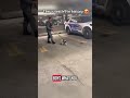 You'll never guess what our newest police K9's name is....🐶 Wait til the end.