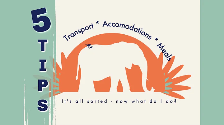 Five Safari Tips