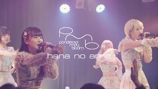 ponderosa may bloom - hana no ame (Live MV) - YouTube