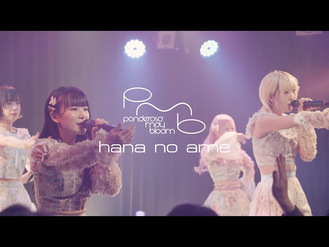 ponderosa may bloom - hana no ame (Live MV) - YouTube