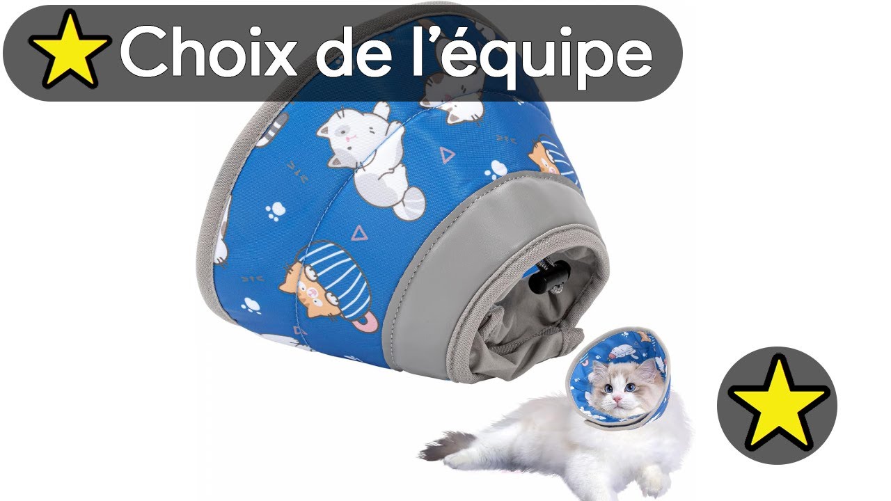 🏆 TOP 3 COLLERETTE POUR CHAT 2025 😺