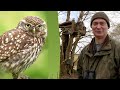 How I Built a Deluxe Box for Little Owls to Nest In | Building Homes For Wildlife