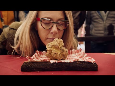 'The Truffle Hunters' Trailer