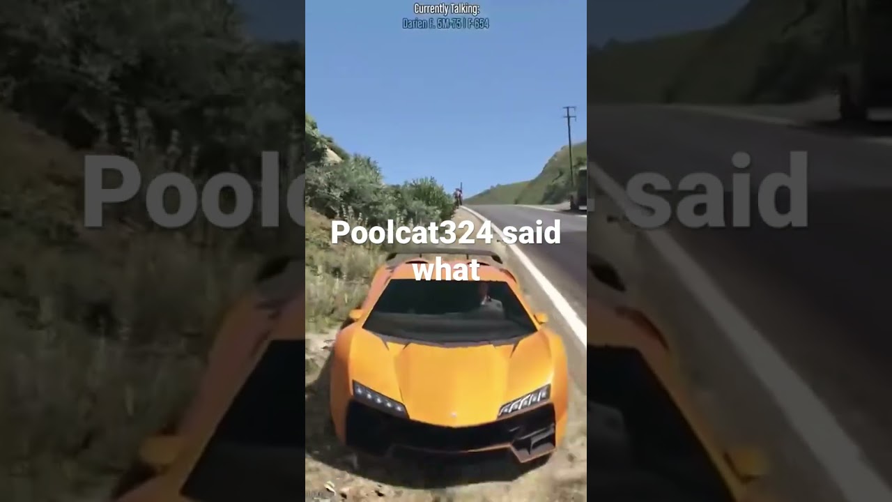 Poolcat324 with Bay Area bugs