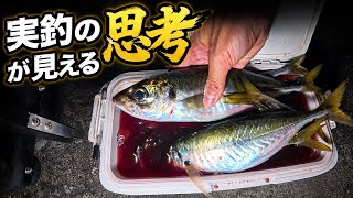 【メンバー限定/ノーカット実釣動画】良いサイズのアジが入れ食いに！釣って捌いて贅沢晩酌！！