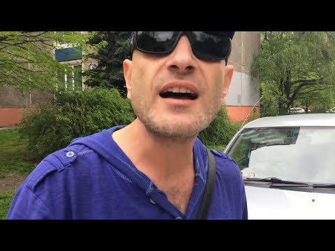 как заниматься с собакой как заниматься с собакой
